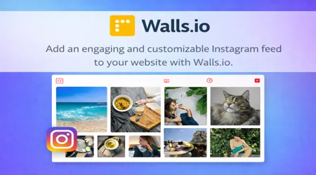 Walls io